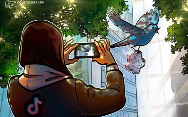 Twitter e TikTok adotam NFTs: a adoção pelas grandes empresas está chegando?